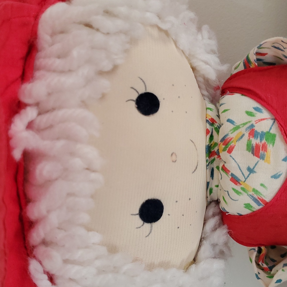 ๐ Vintage Ragdoll - Picture 2 of 6
